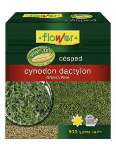 Graines d'herbe Cynodon dactilon 500 Gr | Flower