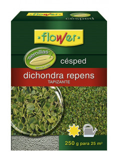 Graines d'herbe à Dichondra 250 Gr | Flower