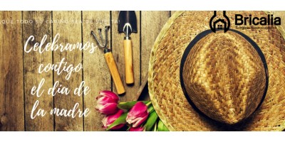 IDEAS PARA EL DIA DE LA MADRE: BANDEJA 