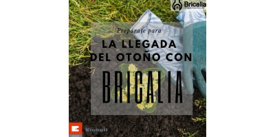 PREPARA TU JARDÍN PARA EL OTOÑO CON BRICALIA